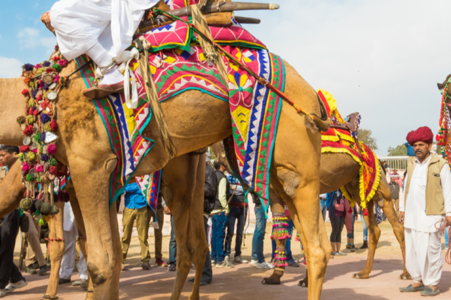 Golden Triangle Tour with Pushkar