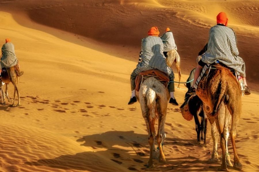 Rajasthan Camel Safari Tour