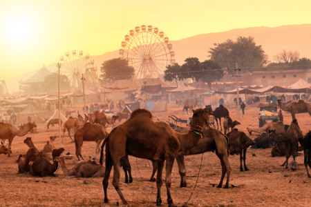 Pushkar Fair Tour