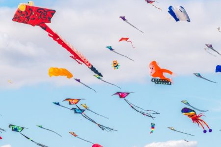 Golden Triangle Tour with International Kite Festival